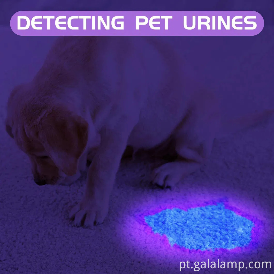 Tocha portátil portátil para eliminar manchas de urina para cães